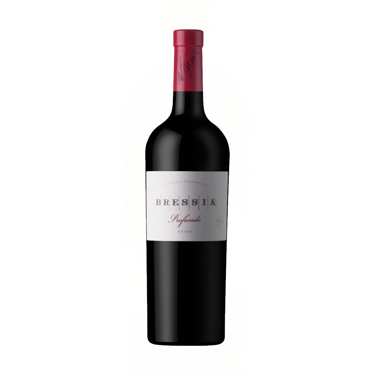 3. Bressia_profundo_web Profundo, Vino Argentino, Casa Bressia