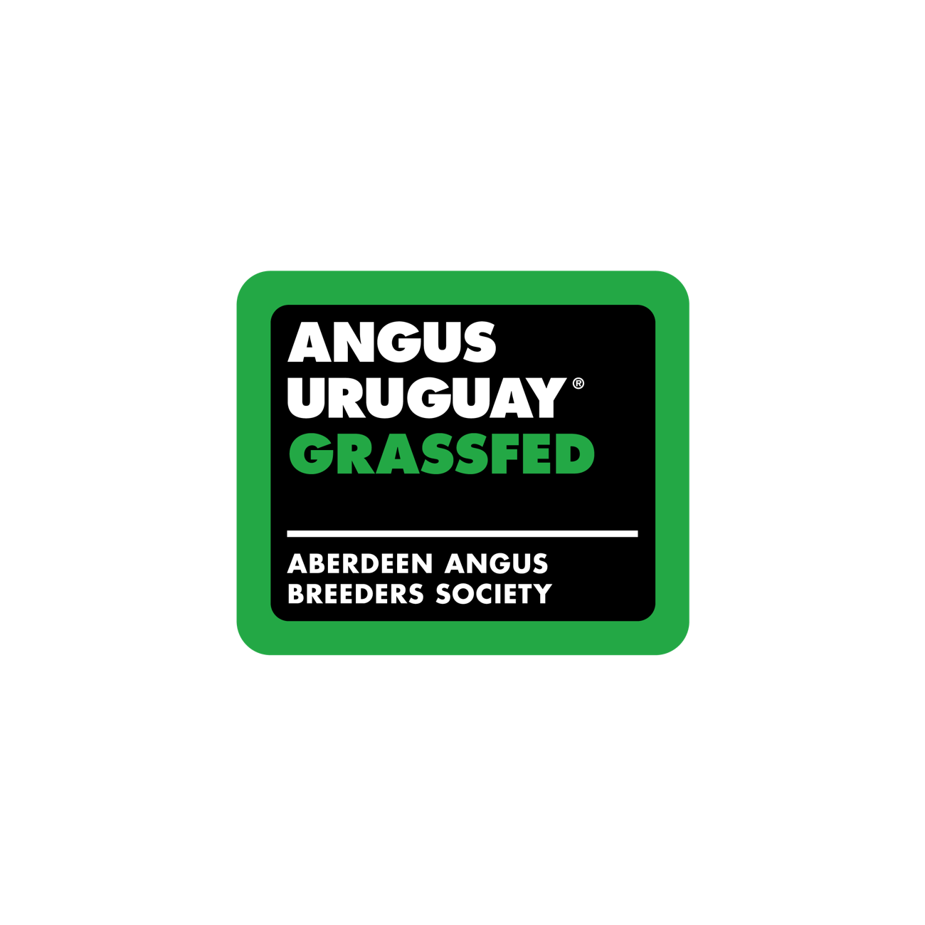 Angus Uruguay Grass Fed
