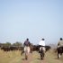 Gauchos, ganadería Argentina y Uruguay