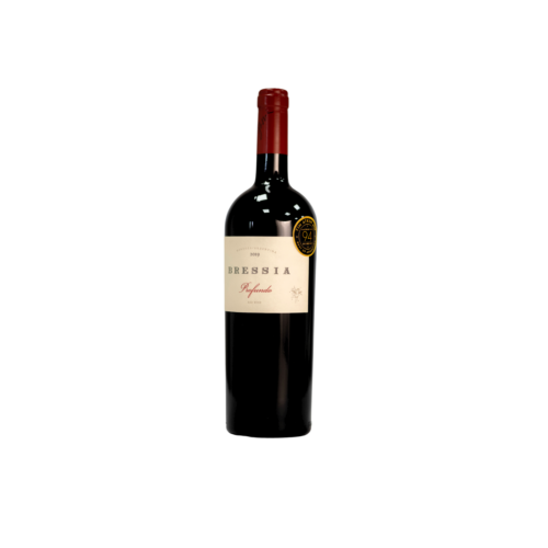 Vinos argentinos, vino tinto, Casa Bressia, Profundo