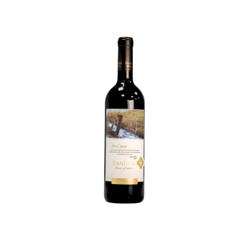 Vinos argentinos, vino tinto, Finca Bandini, Dos Cáuces Malbec