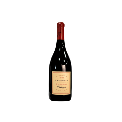Vinos argentinos, vino tinto, Casa Bressia, Piel Negra
