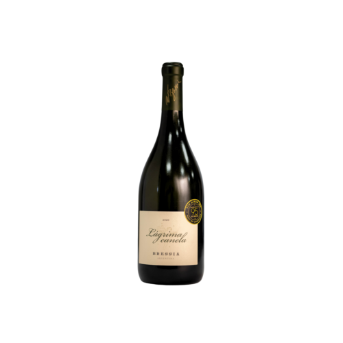 Vinos argentinos, vino blanco, Casa Bressia, Lágrima Canela